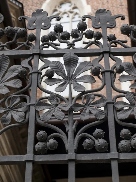 Decoratieve omheining fragment in het wawel kasteel in Kraków — Stockfoto