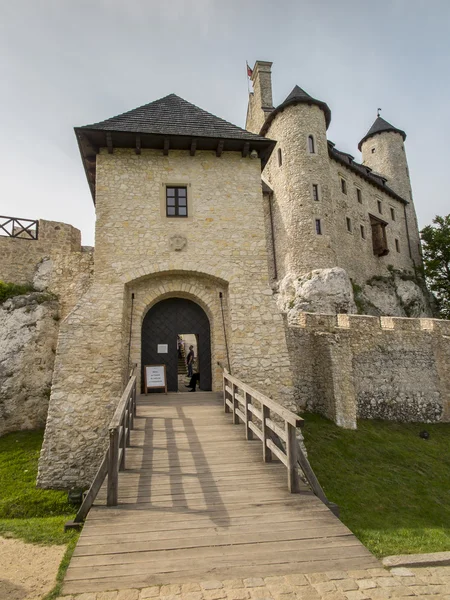 Боболица рядом с CZESTOCHWA, Поланд, 31 мая 2015 г.: Рыцари Боболицы — стоковое фото