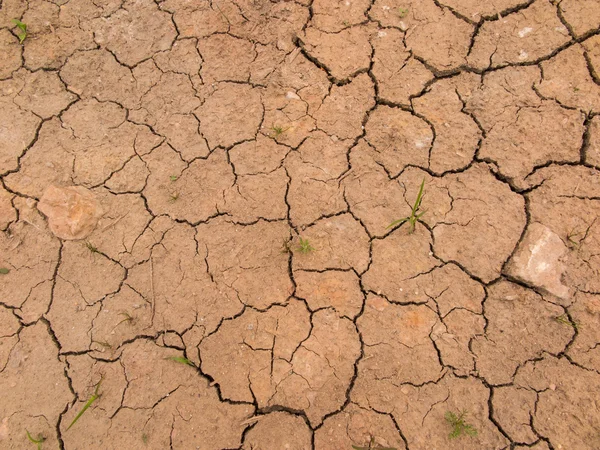 Dry cracked earth Background — Stock Photo, Image