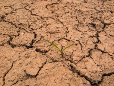 Kuru çatlamış toprak arkaplanı