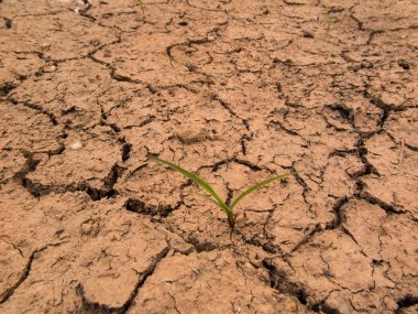 Kuru çatlamış toprak arkaplanı