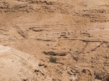 Judaean çöl - kutsal topraklar