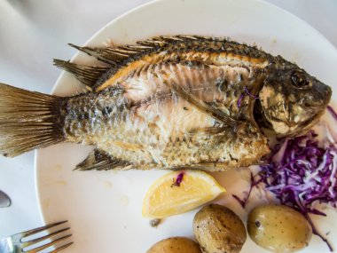 Geleneksel balık St. Peter Celileliler