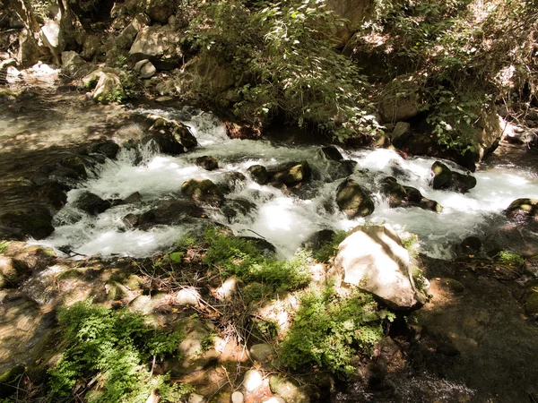 Caídas piedras parque área de recreación. Manantial del río Hermón . — Foto de Stock