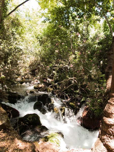 Caídas piedras parque área de recreación. Manantial del río Hermón . — Foto de Stock