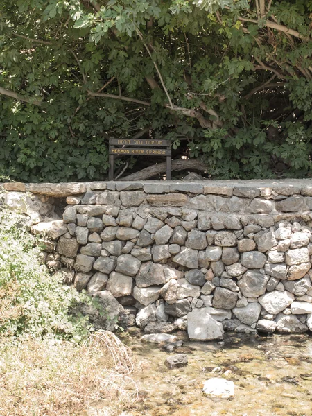 Caídas piedras parque área de recreación. Manantial del río Hermón . — Foto de Stock