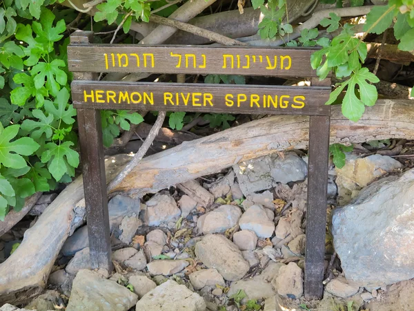 Kövek Falls park üdülőterületen. Tavasszal a Hermon-folyó. — Stock Fotó