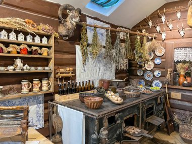 Pszczyna, Polonya, 12 Ağustos 2025: Polonya 'nın Pszczyna kentindeki bizon sergisi. Müzenin içi ve eğitim binası, odalarda sergiler.