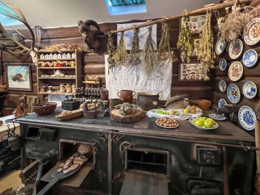 Pszczyna, Polonya, 12 Ağustos 2025: Polonya 'nın Pszczyna kentindeki bizon sergisi. Müzenin içi ve eğitim binası, odalarda sergiler.