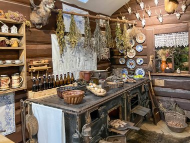 Pszczyna, Polonya, 12 Ağustos 2025: Polonya 'nın Pszczyna kentindeki bizon sergisi. Müzenin içi ve eğitim binası, odalarda sergiler.