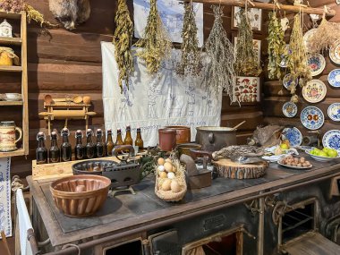 Pszczyna, Polonya, 12 Ağustos 2025: Polonya 'nın Pszczyna kentindeki bizon sergisi. Müzenin içi ve eğitim binası, odalarda sergiler.