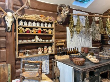 Pszczyna, Polonya, 12 Ağustos 2025: Polonya 'nın Pszczyna kentindeki bizon sergisi. Müzenin içi ve eğitim binası, odalarda sergiler.