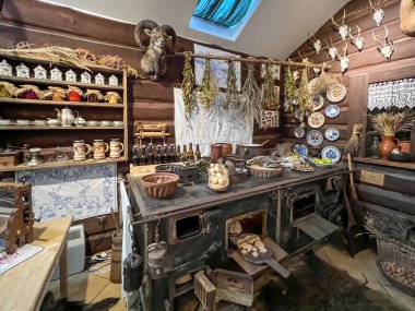 Pszczyna, Polonya, 12 Ağustos 2025: Polonya 'nın Pszczyna kentindeki bizon sergisi. Müzenin içi ve eğitim binası, odalarda sergiler.