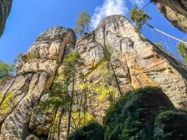 Çek Cumhuriyeti 'ndeki Rock Town Adrspach, Rocks