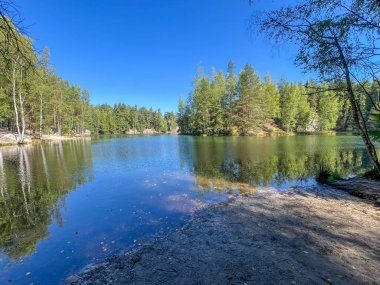 Çek Cumhuriyeti 'nde bir rock kasabası. Kaya oluşumları arasında yuva yapmış büyük balıklarla dolu bir gölet.