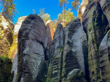 Çek Cumhuriyeti 'ndeki Rock Town Adrspach, Rocks
