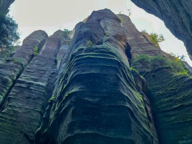 Çek Cumhuriyeti 'ndeki Rock Town Adrspach, Rocks