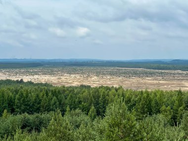Polonya 'nın başkenti Klucze' deki Bledowska Çölü 'ne bakan Çek Cumhuriyeti Tepesi' nin manzarası.