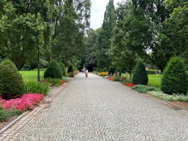 Kudowa-Zdroj, Polonya, 5 Eylül 2025: Polonya 'nın Kudowa-Zdroj kentindeki Spa Park' ın ana caddesi.