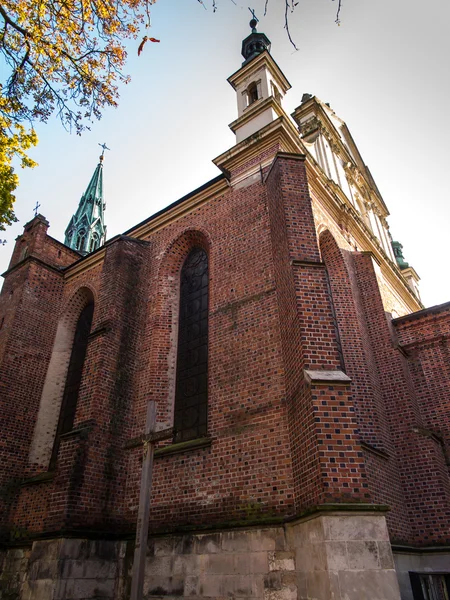 Un fragment de la façade de la cathédrale historique de Sando — Photo