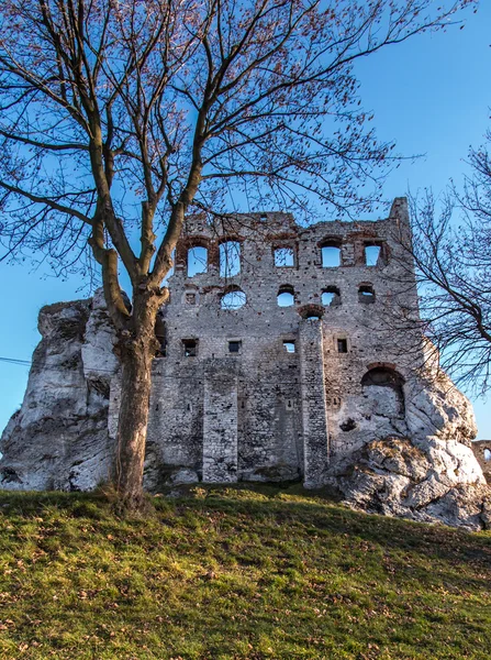 Ogrodzieniec 城堡-波兰的废墟 — 图库照片