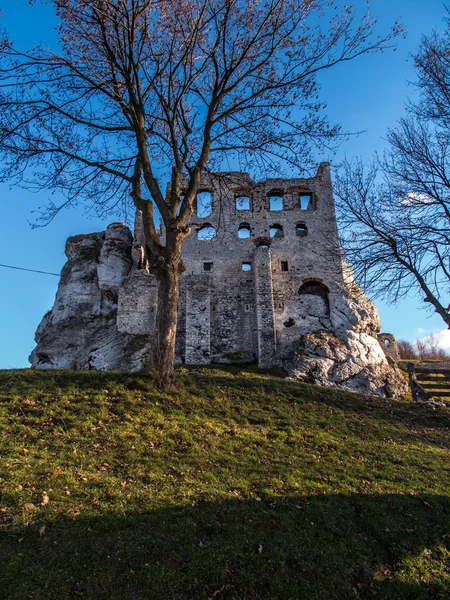 Ruines du château d'Ogrodzieniec - Pologne — Photo