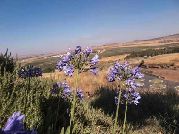 Golan volkanik Park Avital — Stok fotoğraf