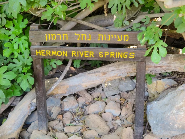 Caídas piedras parque área de recreación. Manantial del río Hermón . — Foto de Stock