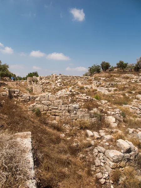 セバスティア、古代イスラエル、遺跡や発掘調査 — ストック写真