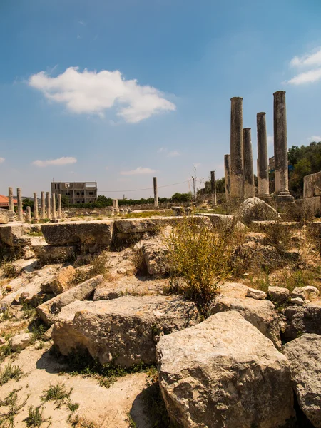 セバスティア、古代イスラエル、遺跡や発掘調査 — ストック写真