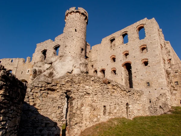 Ruinas del castillo de Ogrodzieniec - Polonia — Foto de Stock