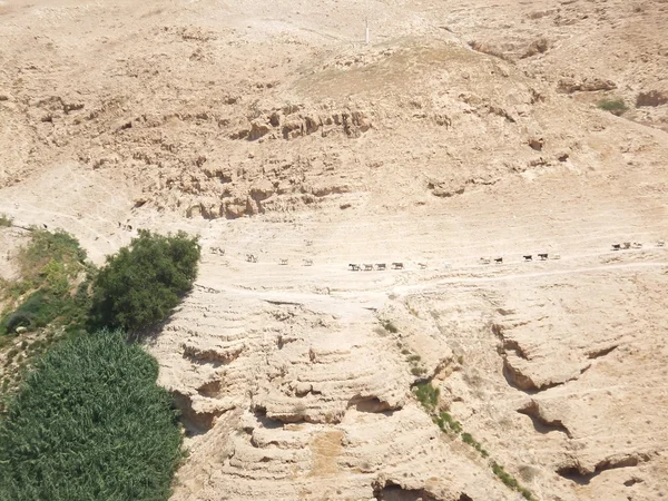 Judaean 砂漠 - 聖地 — ストック写真