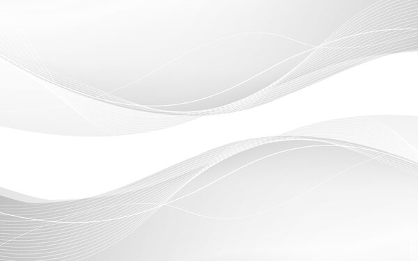 Abstract white waves. Vector