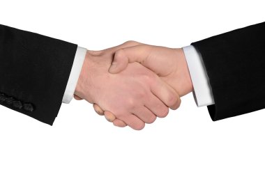 Business man shake hands closeup
