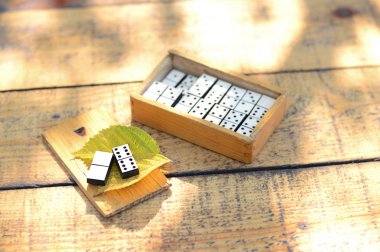 Ahşap Domino seti 