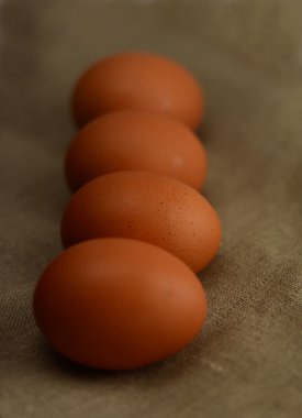 taze kahverengi yumurta