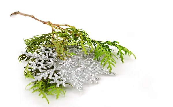 Christmas snowflakes with spruce twig — Stock Photo, Image