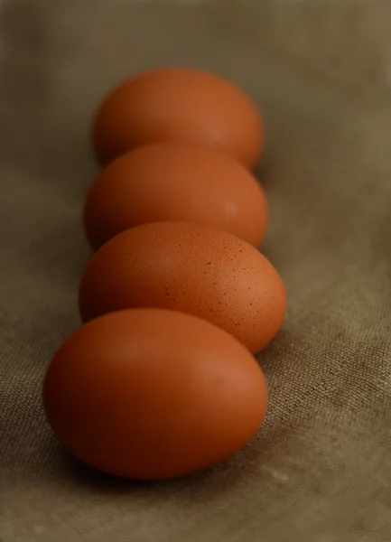 Fresh brown eggs — Stock Photo, Image