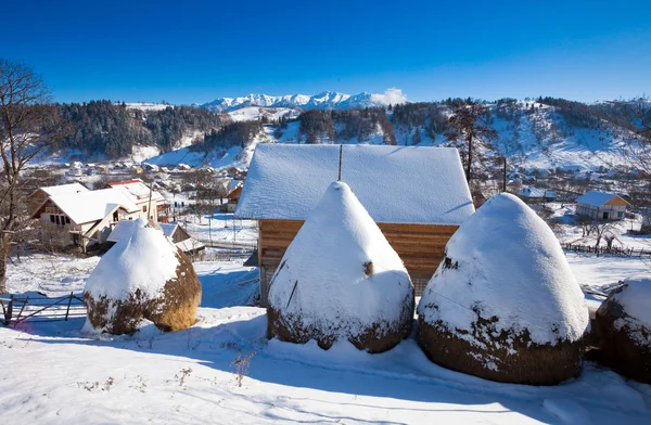 ブラン城周辺から典型的な冬景色 — ストック写真