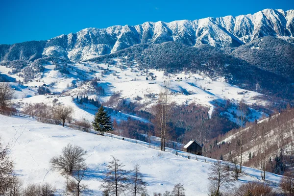 Typické malebné zimní pohled z okolí hrad Bran — Stock fotografie
