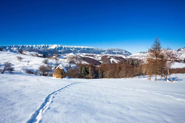 Typische winter schilderachtig uitzicht hayracks — Stockfoto