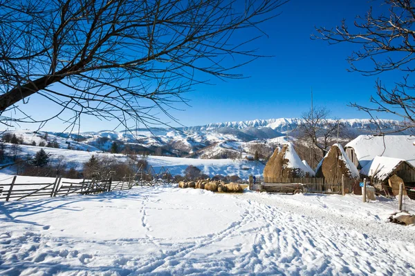 Typische winter schilderachtig uitzicht met hooibergen en sheeps — Stockfoto