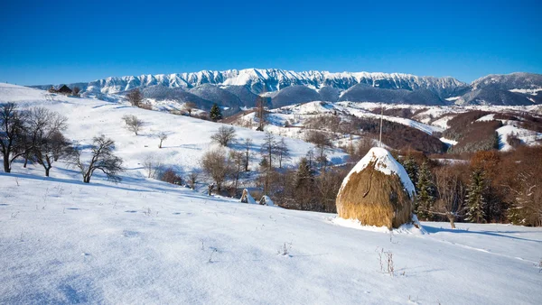 Typische winter schilderachtig uitzicht met hayracks — Stockfoto