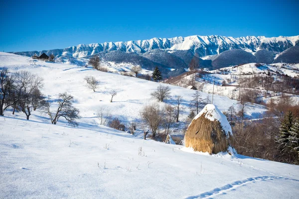 Typische Winterlandschaft mit Heuhaufen — Stockfoto