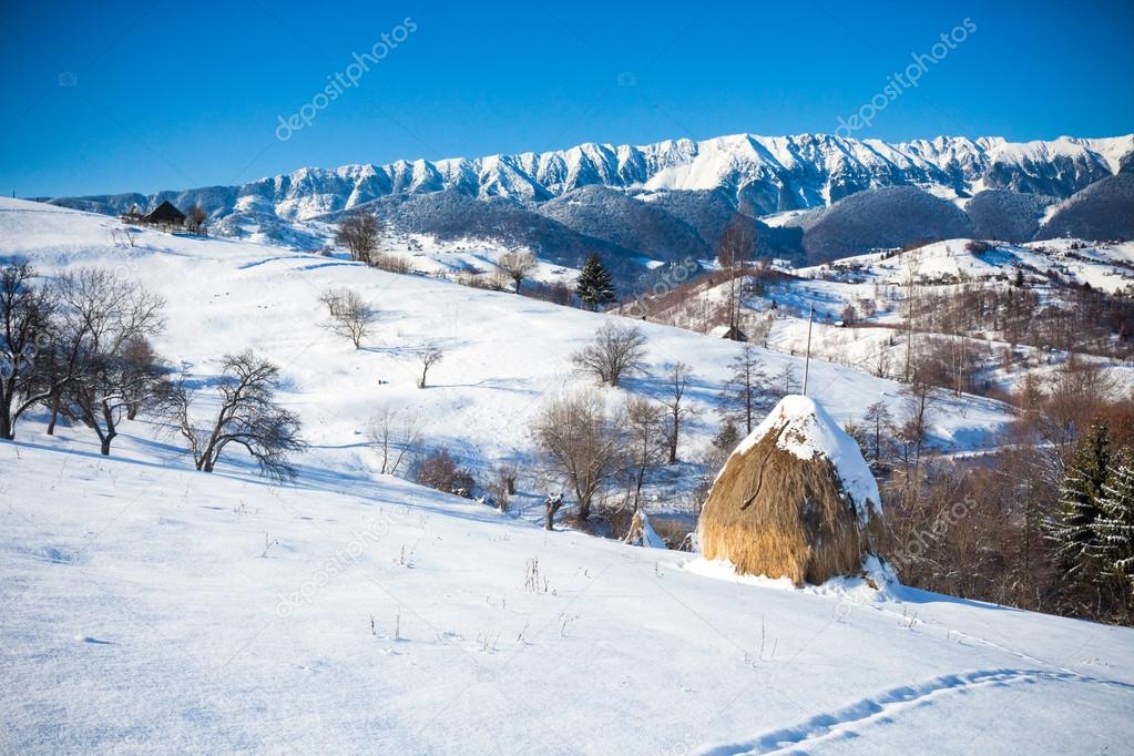 Typical winter scenic view with haystacks