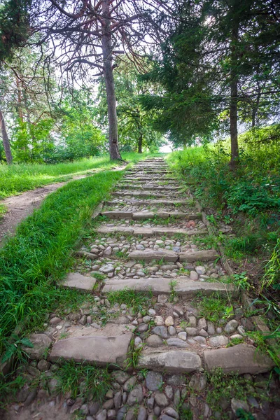 Rivier ruwe stenen geplaveid trappen — Stockfoto