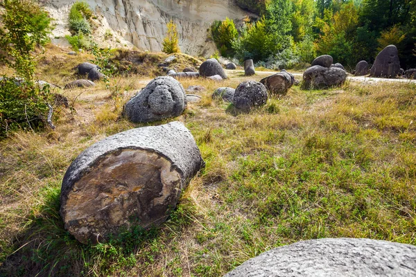 Trovants costesti-罗姆人的生存和发展的石头 — 图库照片