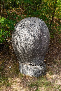 The Trovant of Costesti - The Living and Growing Stones of Roman