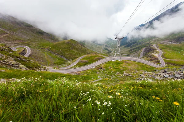 Camino de montaña transfagarasano con flores silvestres de Rumania —  Fotos de Stock