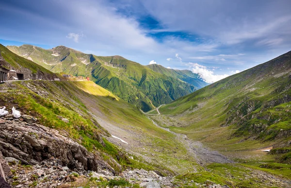 Transfagarasan dağın yoldan Romanya ile kır çiçekleri — Stok fotoğraf